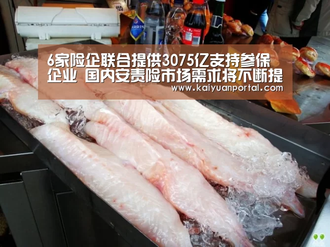 6家险企联合提供3075亿支持参保企业 国内安责险市场需求将不断提升:开元体育(图3) 开元棋牌