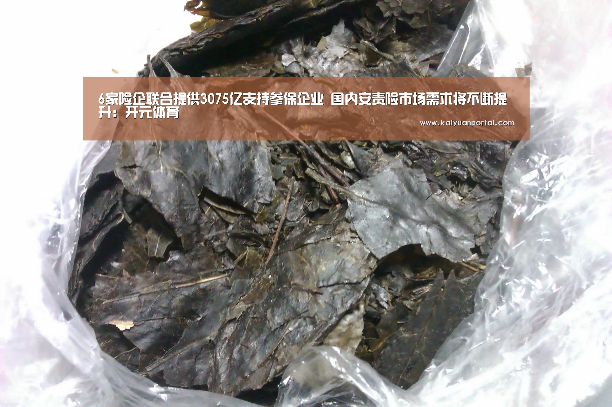 6家险企联合提供3075亿支持参保企业 国内安责险市场需求将不断提升:开元体育(图2) 开元体育
