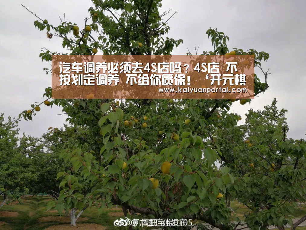 开元体育