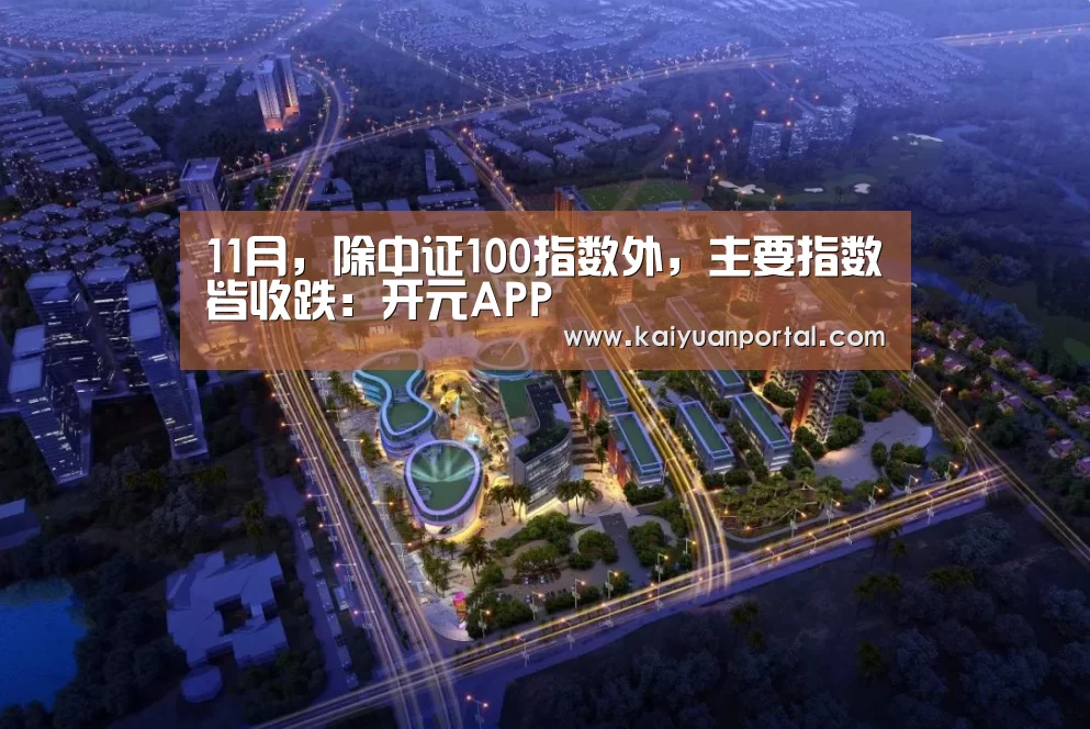 11月,除中证100指数外,主要指数皆收跌:开元APP(图2) 开元棋牌