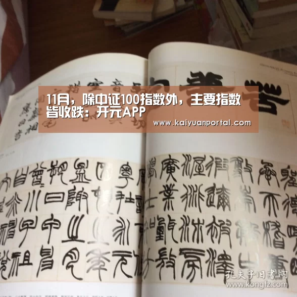 11月,除中证100指数外,主要指数皆收跌:开元APP(图4) 开元平台