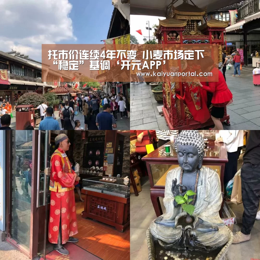 托市价连续4年不变 小麦市场定下“稳定”基调‘开元APP’(图1) 开元APP