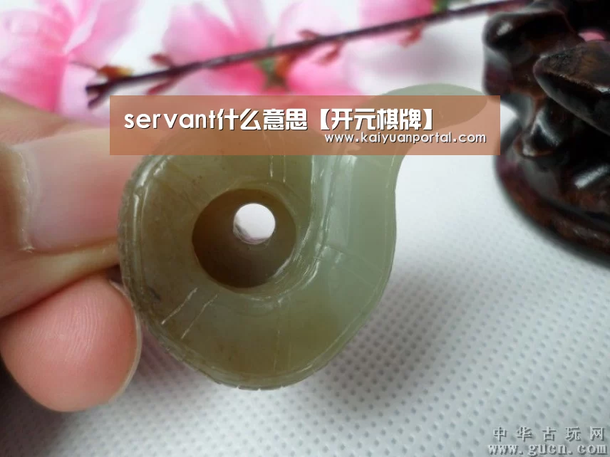 servant什么意思【开元棋牌】(图3) 开元体育